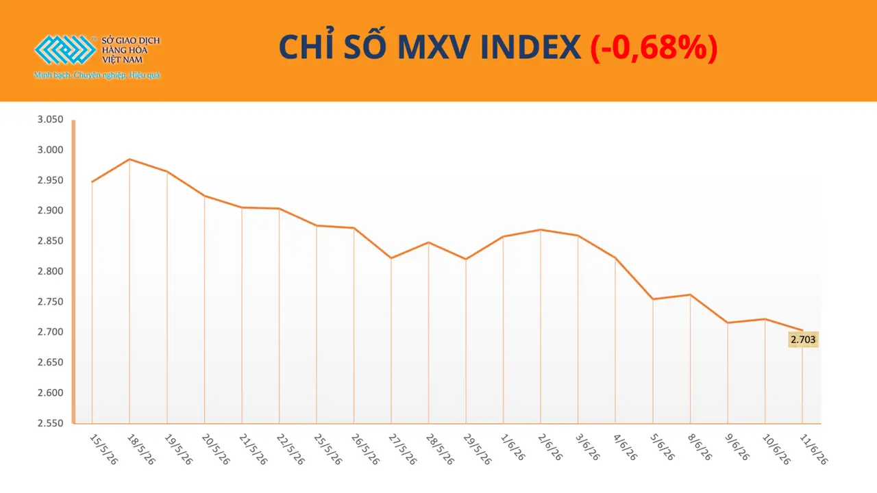 الفضة تتصدر قائمة السلع الأكثر سيولة في بورصة MXV amid تقلبات الأسواق.
